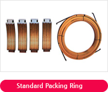 Standard Packing Ring